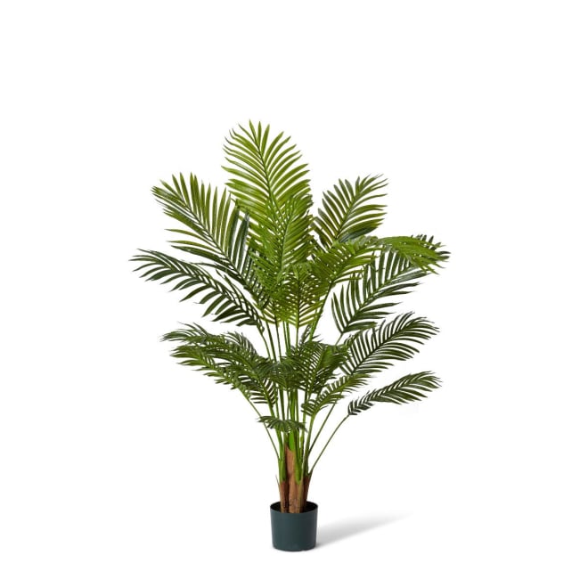 Palm Areca - 85 x 85 x 137cm color 68194202