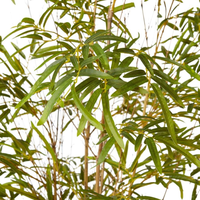 Bamboo Guadua Tree - 100 x 100 x 210cm 