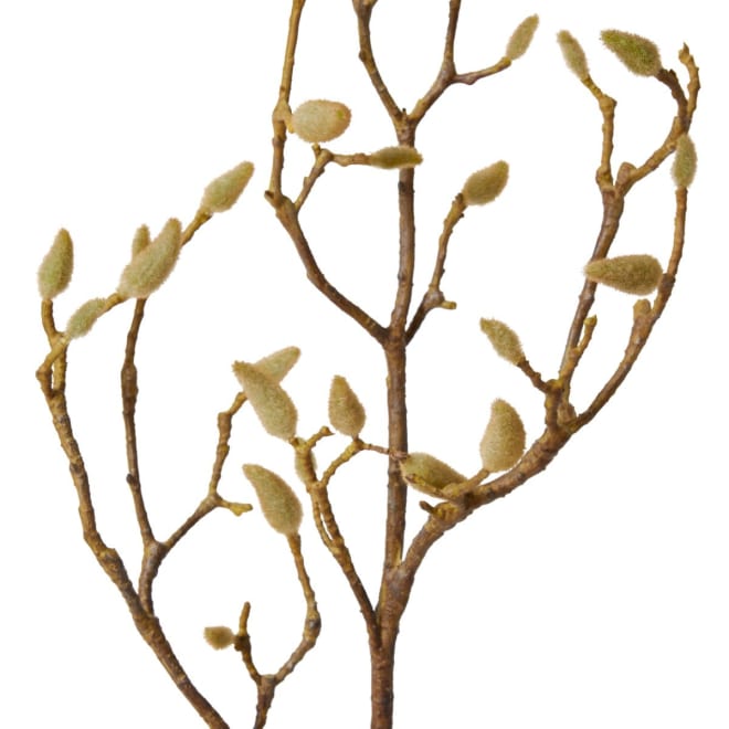 Magnolia Bud Branch - 30 x 14 x 86cm 