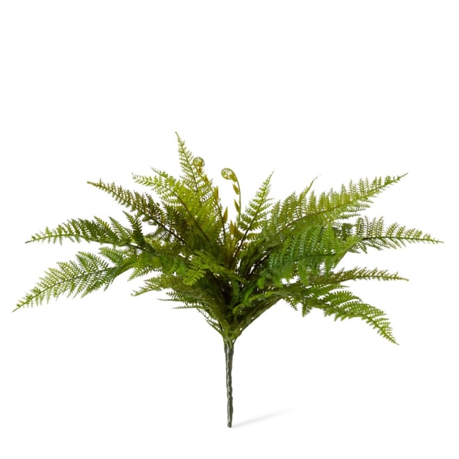 Fern Tassel - 65 x 65 x 45cm 