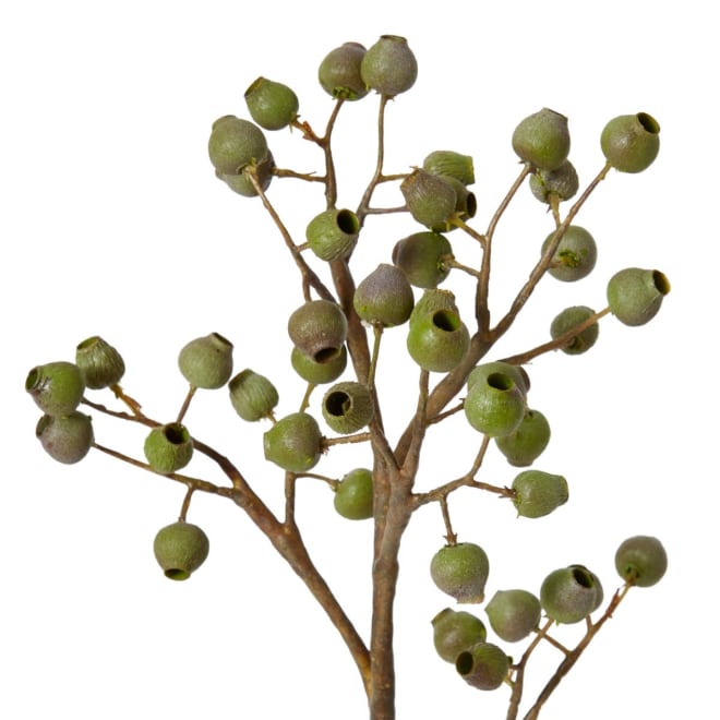 Gum Nut Pick - 13 x 6 x 47cm 