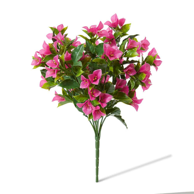 Bougainvillea (Outdoor) Bush - 30 x 30 x 50cm color Hot Pink