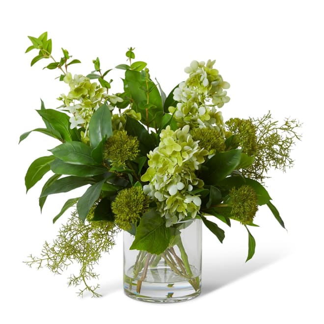 Adelaide Arrangement Green - 54 x 58 x 60cm color Green