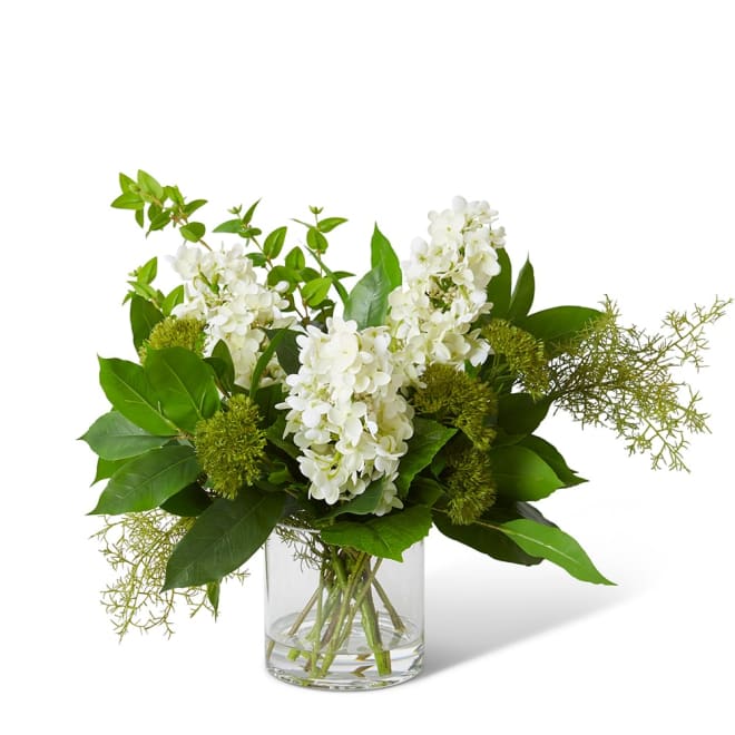 Adelaide Arrangement White/Green - 54 x 58 x 60cm color White/Green