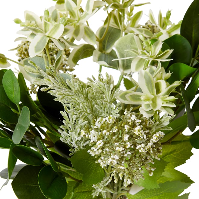 Marginata Seeding Mix  Bouquet - 24 x 24 x 38cm 