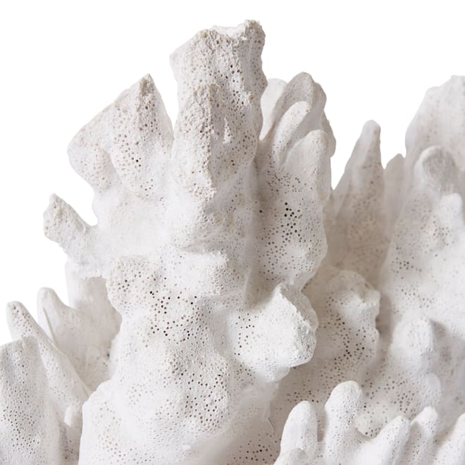 Coral Wave - 29 x 20 x 21cm 