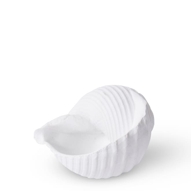 Shell Moon Snail - 11 x 9 x 8cm 