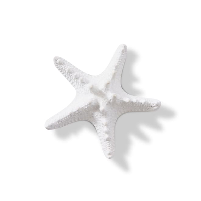 Starfish Knobbed - 9 x 9 x 3cm 