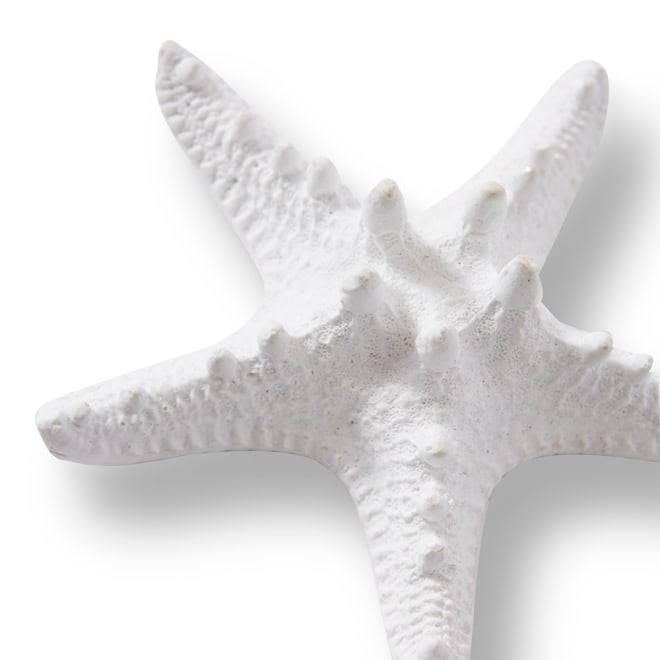 Starfish Knobbed - 9 x 9 x 3cm 