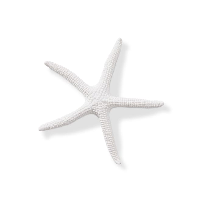 Starfish Sea Star - 11 x 11 x 11cm 