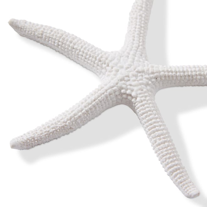 Starfish Sea Star - 11 x 11 x 11cm 