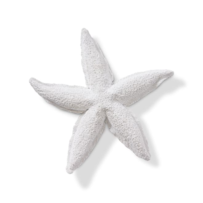 Starfish Royal - 20 x 20 x 3cm 