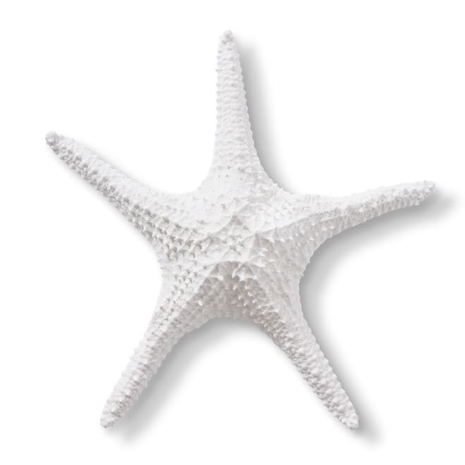 Starfish Bat Star - 32 x 32 x 7cm 