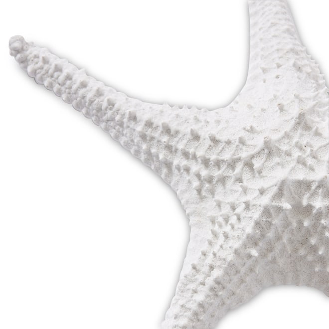 Starfish Bat Star - 32 x 32 x 7cm 