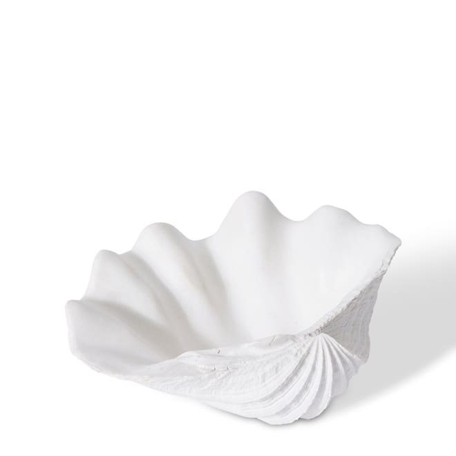 Shell Clam - 19 x 14 x 7cm 