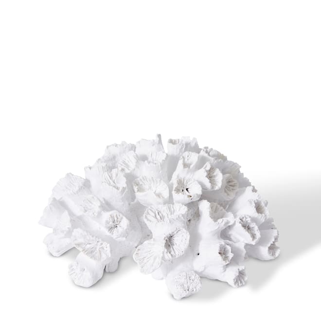 Coral Flower - 20 x 20 x 9cm 