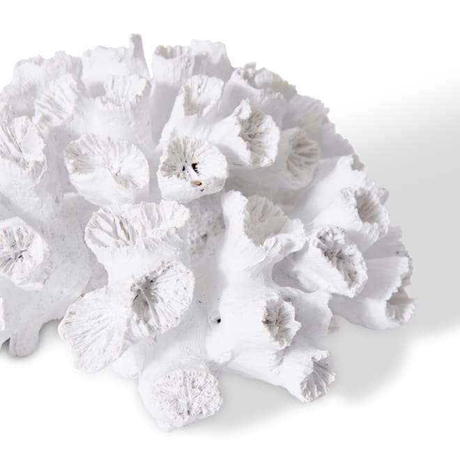 Coral Flower - 20 x 20 x 9cm 