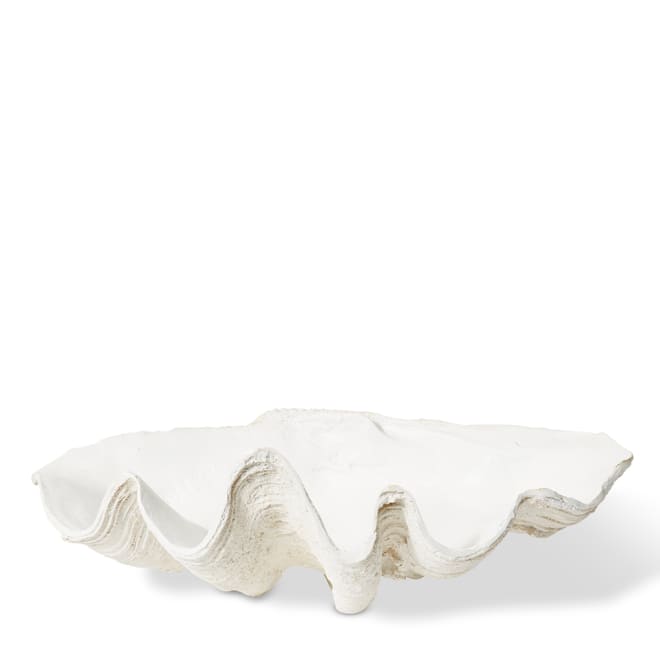 Clam Shell  Sculpture - 69 x 41 x 27cm 
