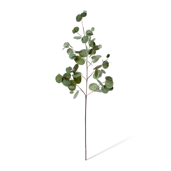 Eucalyptus Silver Dollar Spray - 35 x 25 x 99cm color Green