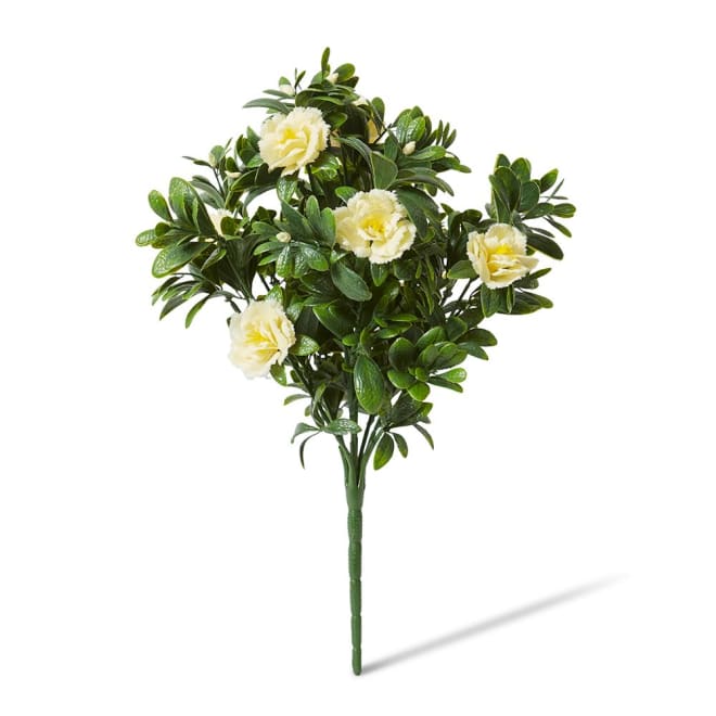 Begonia (Outdoor) Bush - 30 x 30 x 47cm color White