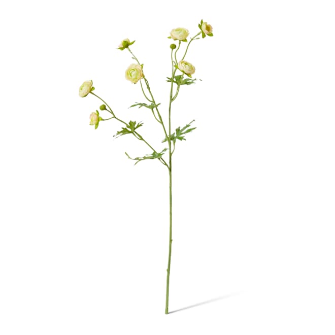 Ranunculus Spray - 20 x 12 x 56cm color Yellow