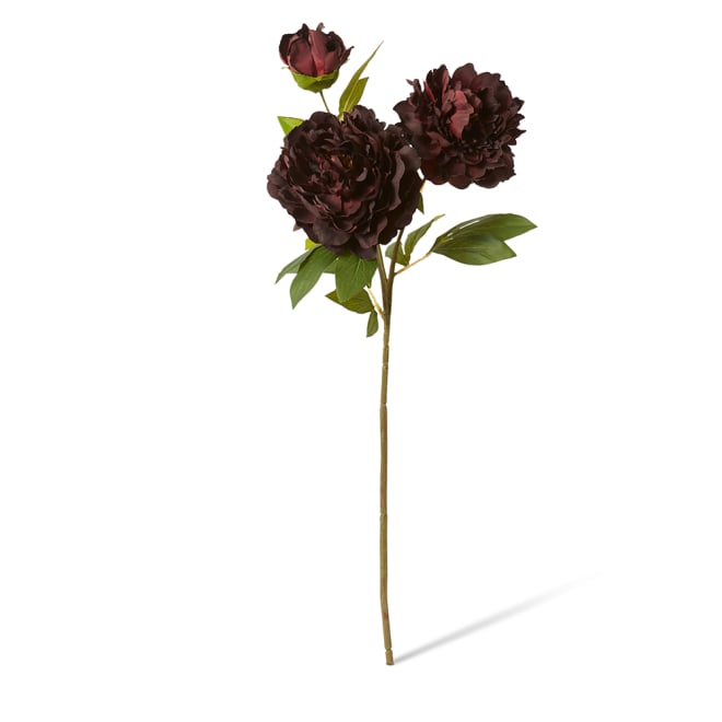 Peony Queen Spray - 30 x 20 x 76cm color Burgundy