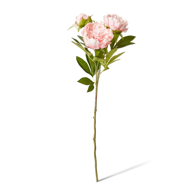 Classic Peony Spray - 27 x 24 x 75cm color Blush Pink