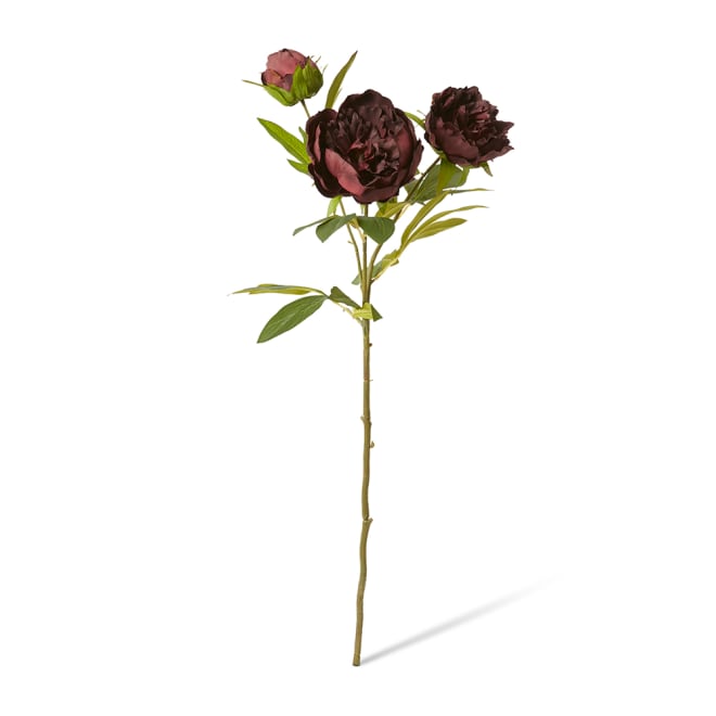 Classic Peony Spray - 27 x 24 x 75cm color Burgundy