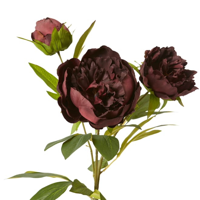 Classic Peony Spray - 27 x 24 x 75cm color Burgundy