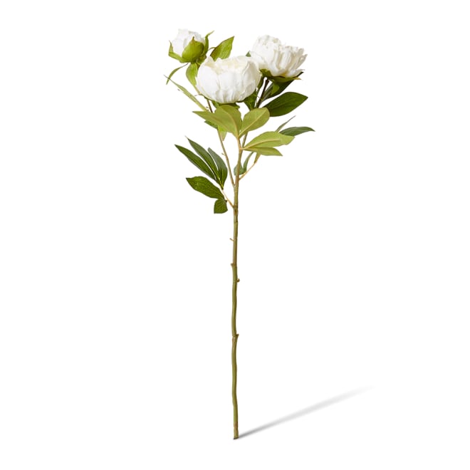 Classic Peony Spray - 27 x 24 x 75cm color White