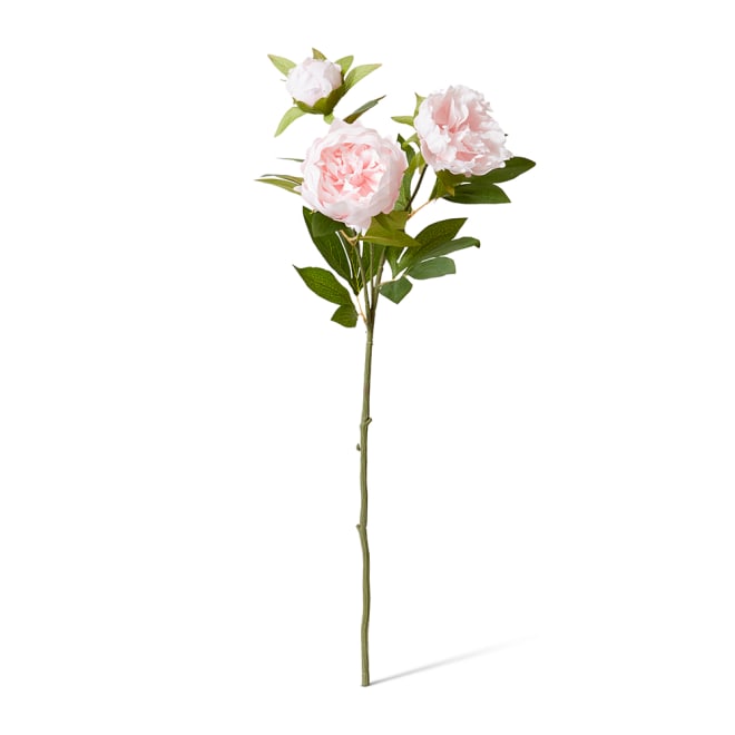 Classic Peony Spray - 27 x 24 x 75cm color Soft Pink