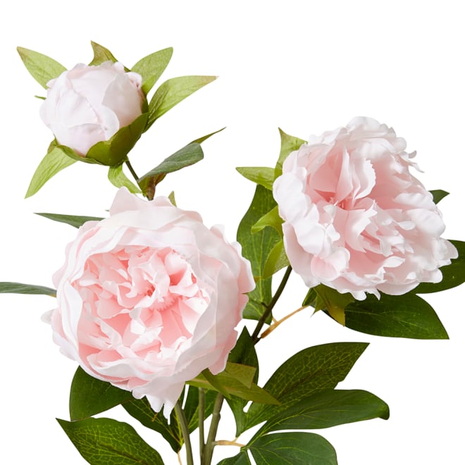 Classic Peony Spray - 27 x 24 x 75cm color Soft Pink