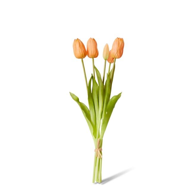 Tulip Bundle - 12 x 12 x 40cm color Apricot