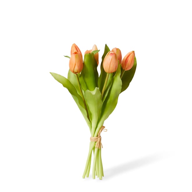 Tulip Petite Bundle - 22 x 22 x 30cm color Apricot