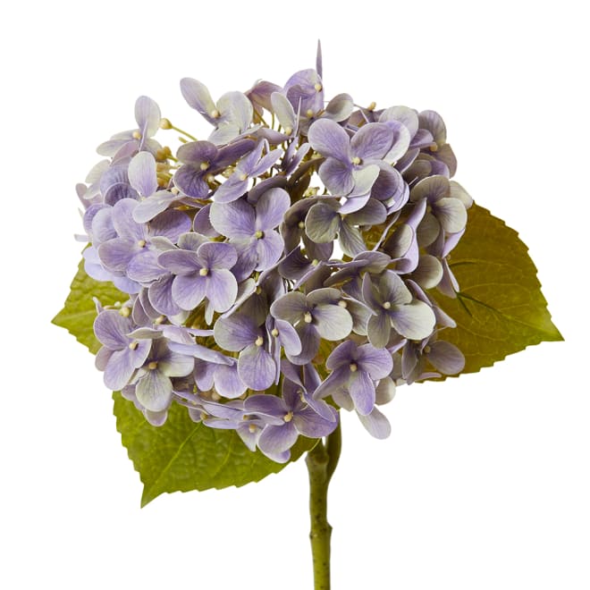 Hydrangea Garden Stem (Fresh Touch) Purple - 26 x 20 x 61cm color Purple