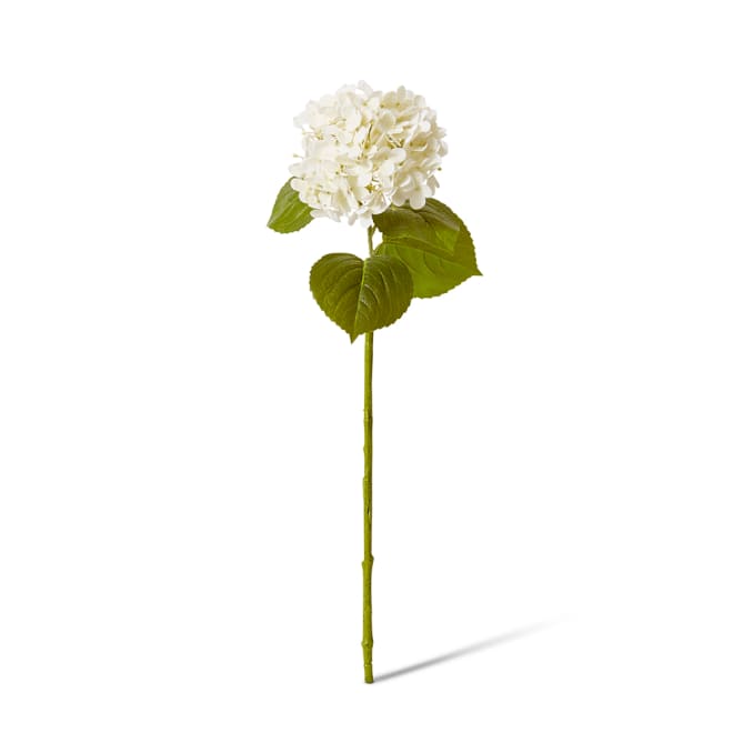Hydrangea Garden Stem (Fresh Touch) White - 26 x 20 x 61cm color White