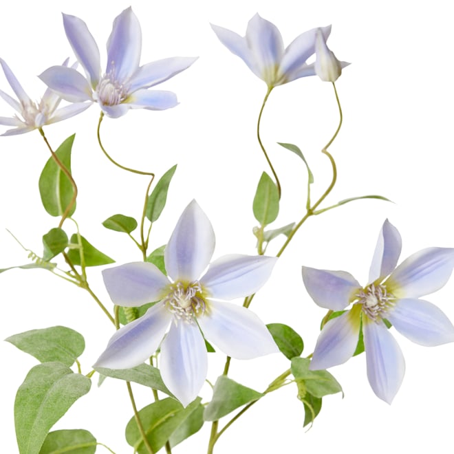 Clematis Flower Spray - 42 x 20 x 86cm color Purple