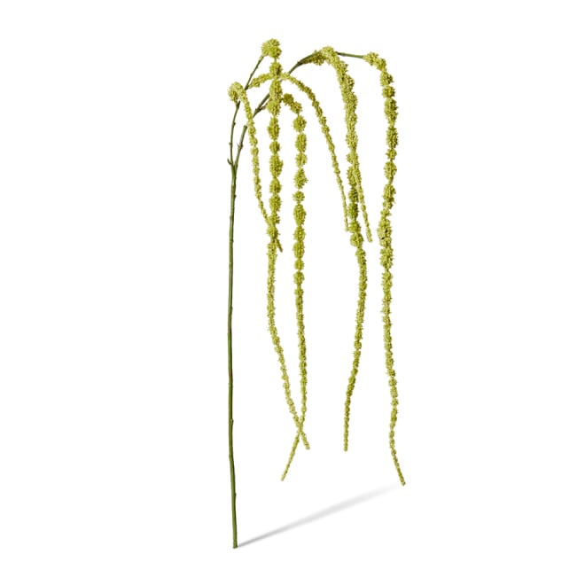 Amaranthus Hanging Spray - 16 x 16 x 147cm 