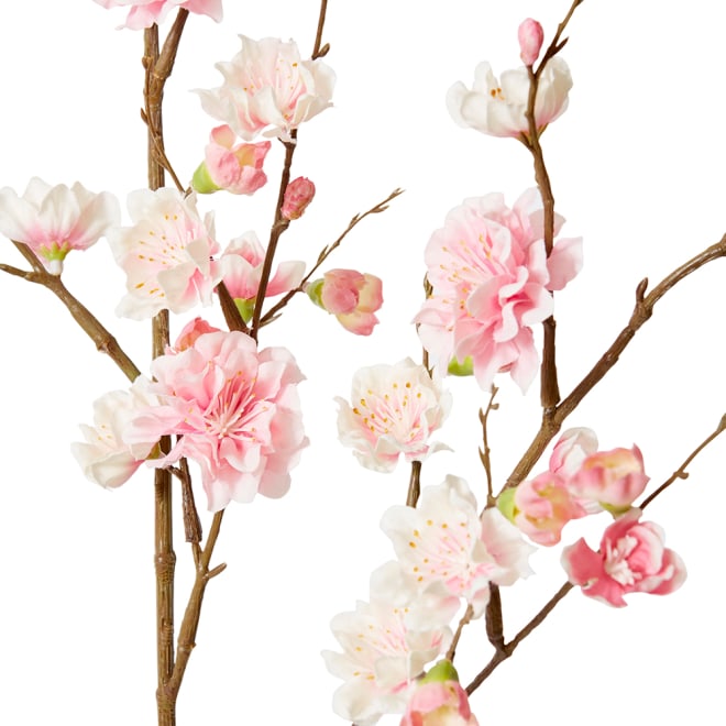 Blossum Plum Spray - 38 x 16 x 109cm 