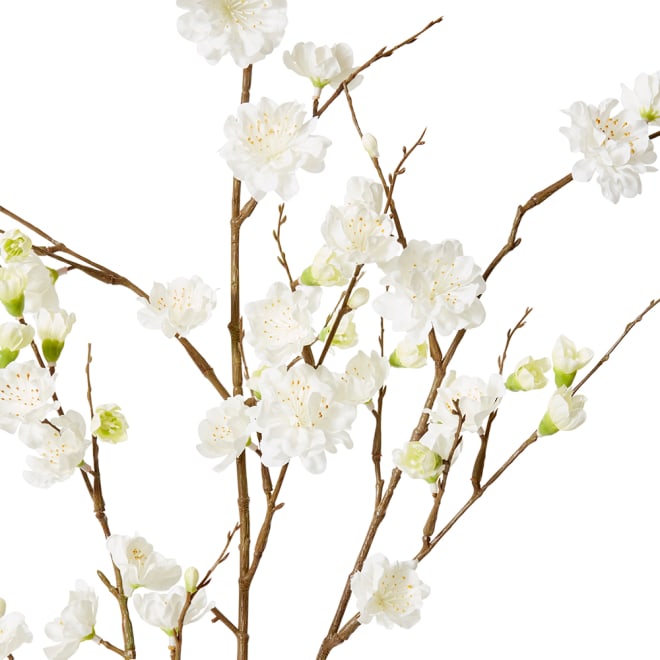 Blossum Plum Spray - 38 x 16 x 109cm 