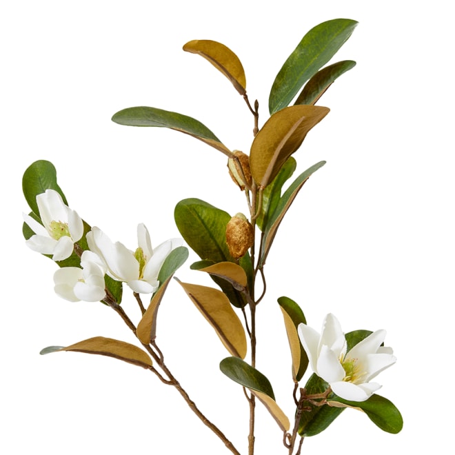 Magnolia Pearl Spray - 24 x 12 x 61cm 