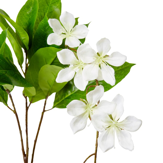 Island Blossom Spray White - 36 x 30 x 104cm color White