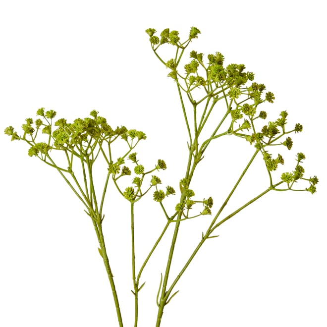 Gypsophila Spray Green - 28 x 16 x 74cm color Green