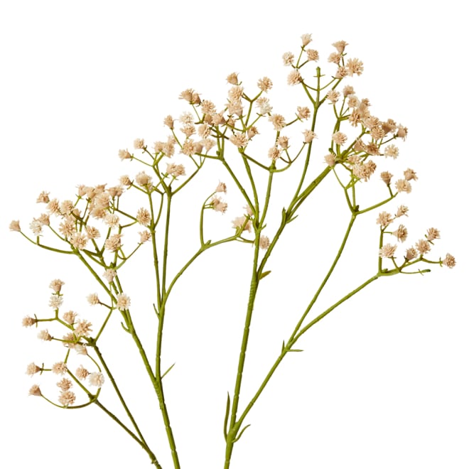 Gypsophila Spray Pink - 28 x 16 x 74cm color Pink