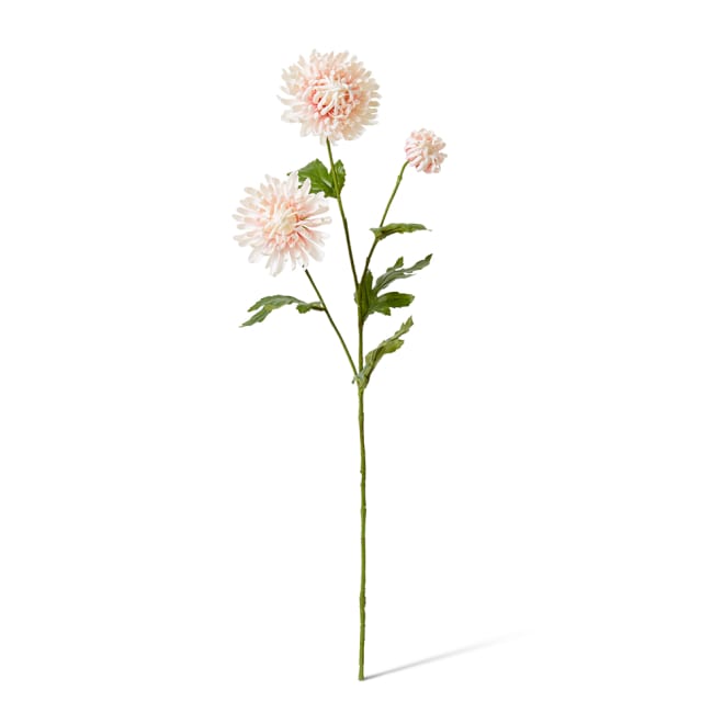 Chrysanthemum Spray - 16 x 9 x 64cm color Pink