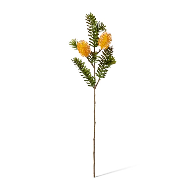 Banksia Spray - 20 x 9 x 66cm color Yellow