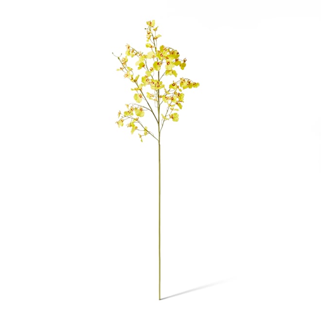 Orchid Dancing Spray Yellow - 36 x 30 x 102 cm color Yellow