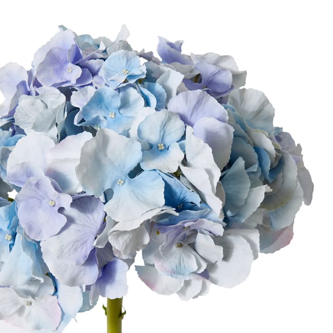 Hydrangea Stem Blue - 25 x 25 x 53 cm color Blue