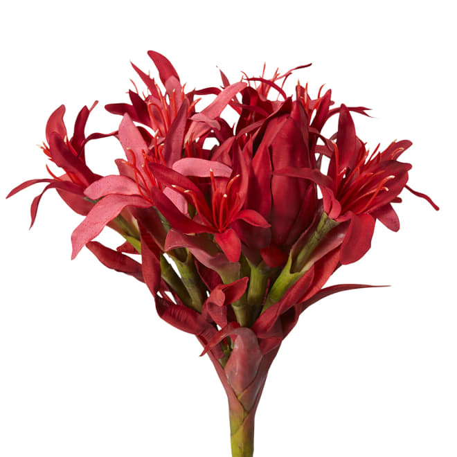 Gymea Lily Stem - 31 x 31 x 117cm 