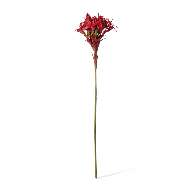 Gymea Lily Stem - 33 x 33 x 143cm